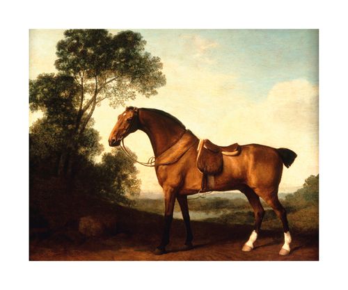 George Stubbs Hand Numbered Limited Edition Print on Paper :"A Saddled Bay Hunter"