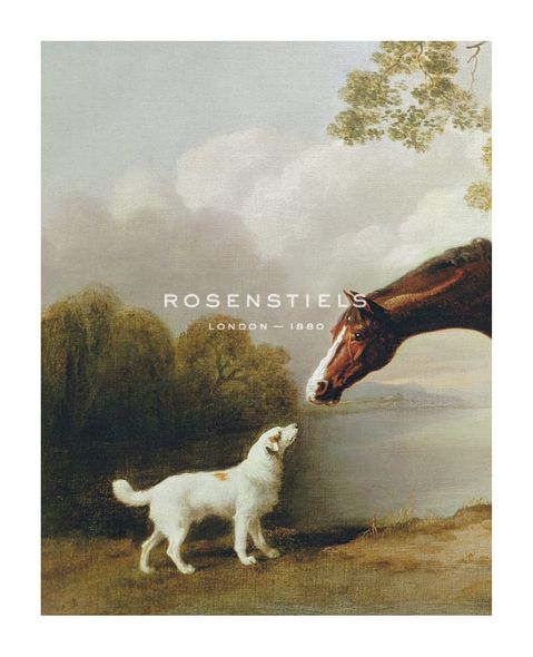 George Stubbs Hand Numbered Limited Edition Print on Paper :"Bay Horse and White Dog - Focus"