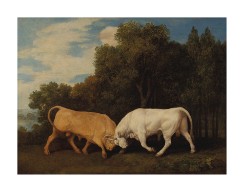 George Stubbs Hand Numbered Limited Edition Print on Paper :"Bulls Fighting"