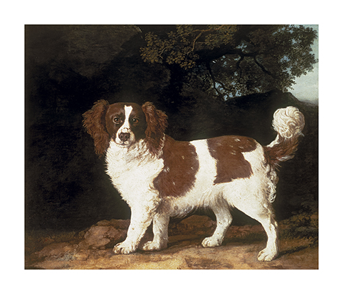 George Stubbs Hand Numbered Limited Edition Print on Paper :"Fanny, A favourite Spaniel Of Mrs Musters"