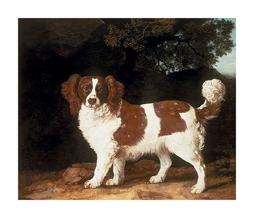 George Stubbs Hand Numbered Limited Edition Print on Paper :"Fanny, A favourite Spaniel Of Mrs Musters"