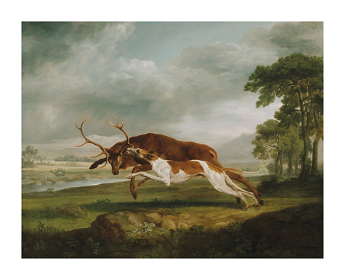 George Stubbs Hand Numbered Limited Edition Print on Paper :"Hound Coursing a Stag"