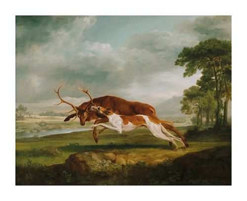 George Stubbs Hand Numbered Limited Edition Print on Paper :"Hound Coursing a Stag"
