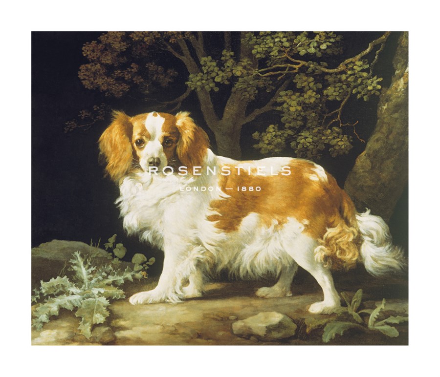 George Stubbs Hand Numbered Limited Edition Print on Paper :"King Charles Spaniel"