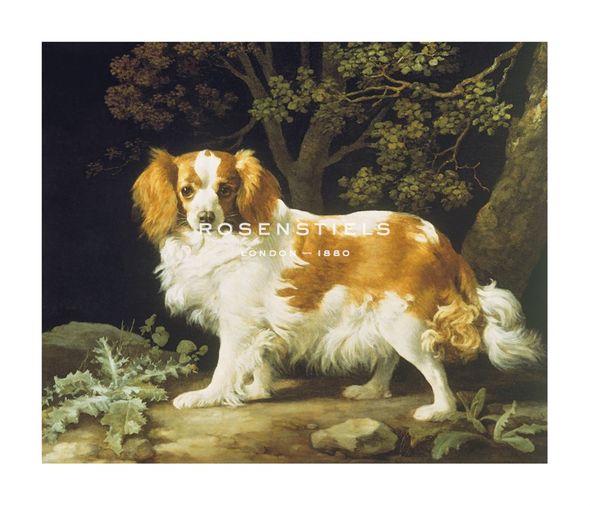 George Stubbs Hand Numbered Limited Edition Print on Paper :"King Charles Spaniel"