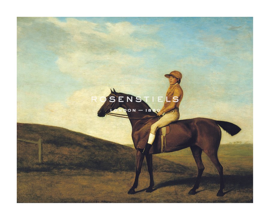 George Stubbs Hand Numbered Limited Edition Print on Paper :"Rosaletta"
