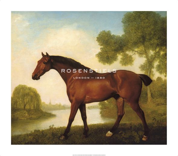 George Stubbs Hand Numbered Limited Edition Print on Paper :"Truss, A Hunter"