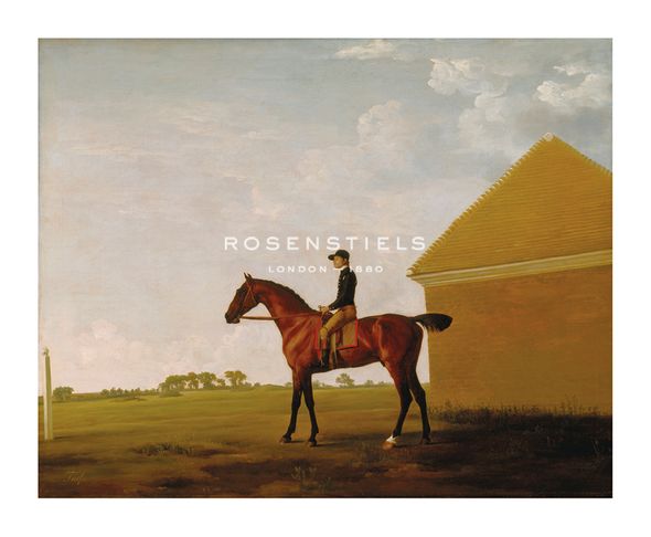 George Stubbs Hand Numbered Limited Edition Print on Paper :"Turf, with Jockey up at Newmarket"