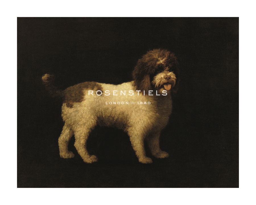 George Stubbs Hand Numbered Limited Edition Print on Paper :"Water Spaniel"