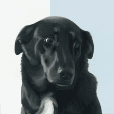 Gallerydirectart