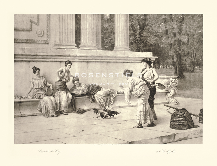 Giuseppe Zocchi Artist Hand Colored Copper Plate Printed Atelier Print:"A Cockfight"