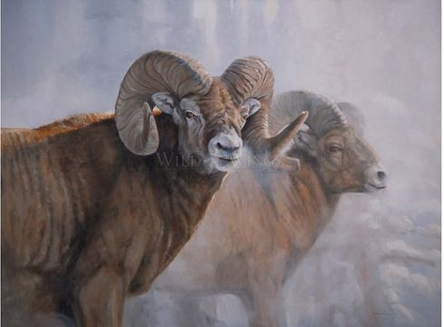 Grant Hacking Master Artisan Hand Embellished Canvas Giclee:"Bighorns in the Mist"