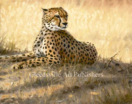 Grant Hacking Handsigned and Numbered Limited Edition Gallery Giclee Canvas: "Gentle Breeze"