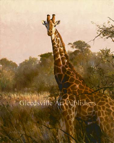 Grant Hacking Handsigned and Numbered Limited Edition Gallery Giclee Canvas: "Long Shadows"
