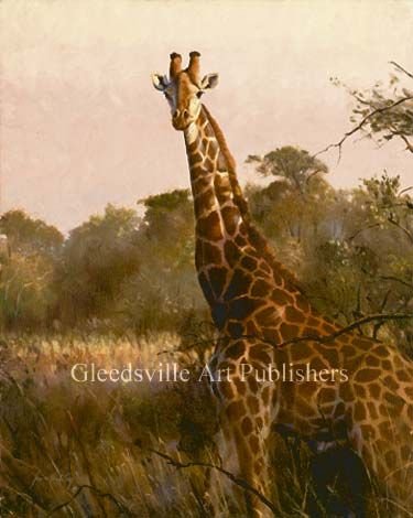 Grant Hacking Handsigned and Numbered Limited Edition Gallery Giclee Canvas: "Long Shadows"
