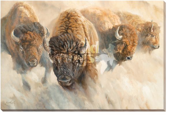 Grant Hacking 24x36 Gallery Wrap Canvas:"Dust of Time"