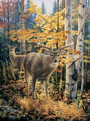 Greg Alexander Handsigned and Numbered Limited Edition Print:"Something In The Air"