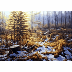Greg Alexander