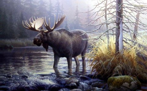 Greg Alexander Print-Signed and Numbered:"Power in the Mist"