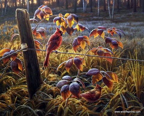 Greg Alexander Print-Signed and Numbered:"Scarlet Dawn"