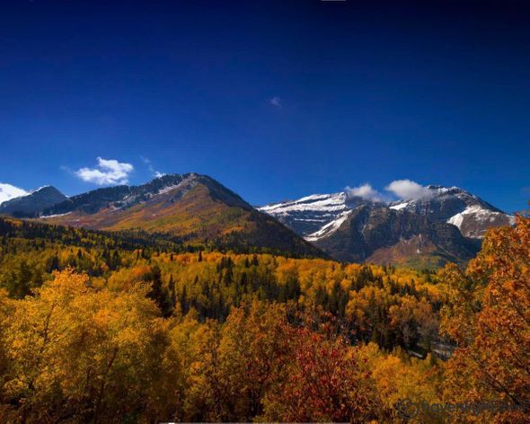 Greg Sargent Fine Art Canvas Giclee: "Back Side Of Timpanogos"