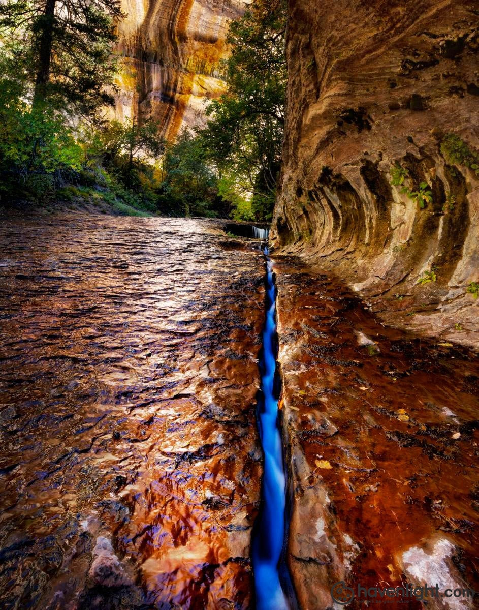 Greg Sargent Fine Art Canvas Giclee: "Zions Fissure"