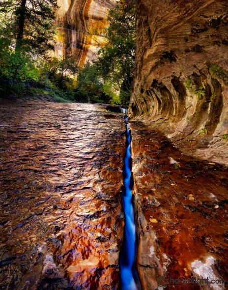 Greg Sargent Fine Art Canvas Giclee: "Zions Fissure"