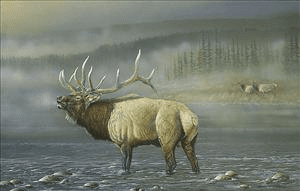 Gregory Clair Hand Signed and Numbered Limited Edition Giclee on Canvas "Wilderness Sonata"