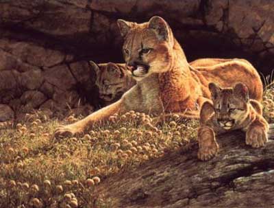 GUY COHELEACH 20X26 Secondary Market Art: "YOUNG MOTHER"