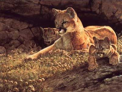 GUY COHELEACH 20X26 Secondary Market Art: "YOUNG MOTHER"