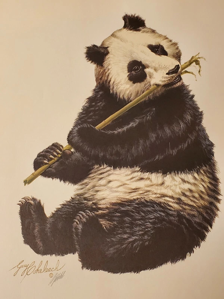 Guy Coheleach Signed Limited Edition Lithograph: "Giant Panda"