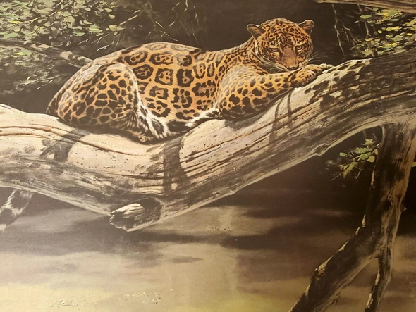 Guy Coheleach Signed Limited Edition Signed Lithograph: "Jungle Jaquar"