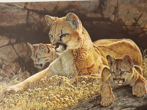 Guy Coheleach Signed Limited Edition Signed Lithograph: "Young Mother" Guy Coheleach Signed Limited Edition Signed Lithograph: "Young Mother"