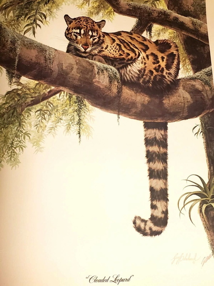 Guy Coheleach Signed Limited Edition Size Signed Lithograph: "Clouded Leopard"