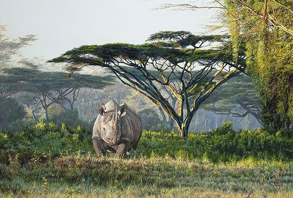 Guy Combes Hand Signed and Numbered Limited Edition Canvas Giclee:"Angurouk"