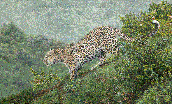 Guy Combes Hand Signed and Numbered Limited Edition Canvas Giclee:"Breaking Cover"