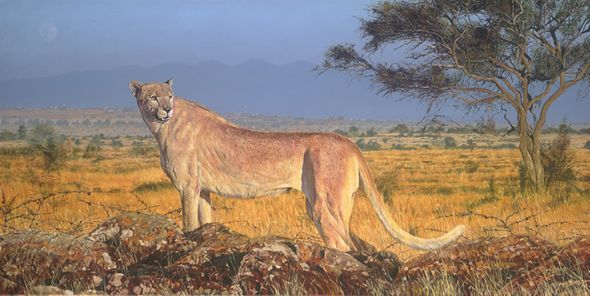 Guy Combes Hand Signed and Numbered Limited Edition Canvas Giclee:"Phantom"
