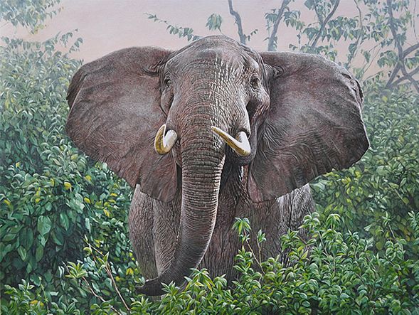 Guy Combes Hand Signed and Numbered Limited Edition Canvas Giclee:"The Constant Gardener"