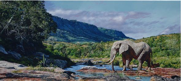 Guy Combes Hand Signed and Numbered Limited Edition Giclee on Canvas: "Monarch of Mwaluganje"