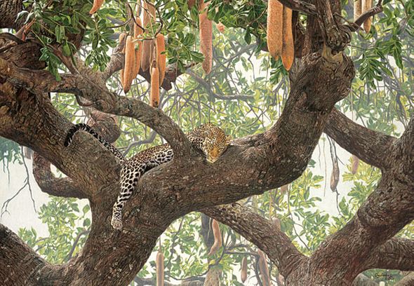 Guy Combes Handsigned & Numbered Limited Edition Canvas Giclee:"Leopard Lounge"