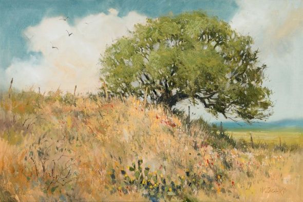 H.C. Zachry 24 x 36 Open Edition Giclee on Canvas:"Texas Summer"