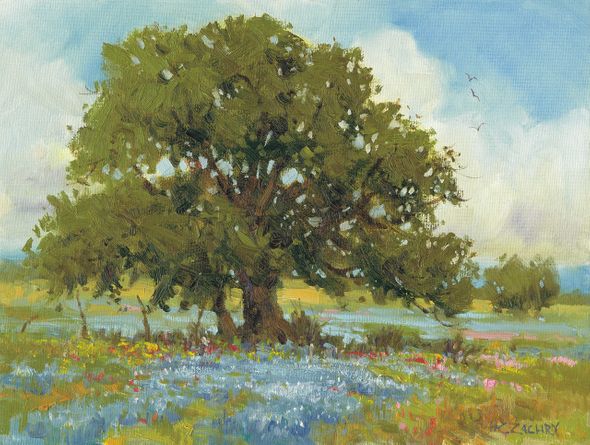 H. C. Zachry Limited Edition Museum Quality Gicl&eacute;e: "Bluebonnet Oak"