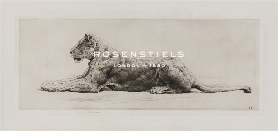 Herbert Dicksee Hand Numbered Limited Edition Print on Paper :"A Lioness"