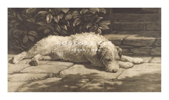 Herbert Dicksee Hand Numbered Limited Edition Print on Paper :"A Place In The Sun"