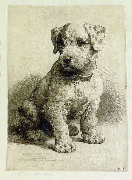 Herbert Dicksee Hand Numbered Limited Edition Print on Paper :"Puppy"