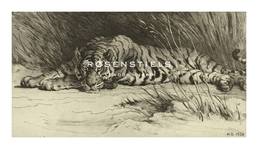 Herbert Dicksee Hand Numbered Limited Edition Print on Paper :"Tiger Resting"