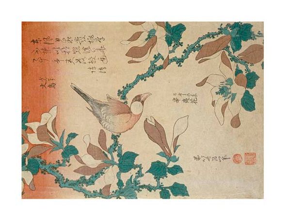 Hokusai Fine Art Open Edition Gicl&eacute;e:"A Paddy Bird Perched on a Flowering Magnolia Branch"