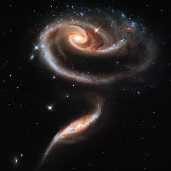Hubble Telescope Open Edition Museum Wrapped Canvas Giclee:"A Rose Made of Galaxies"