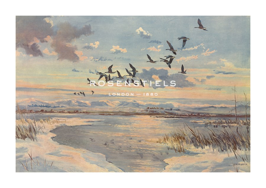 Hugh Monahan Hand Numbered Limited Edition Print on Paper :"Greylag On The Loch"