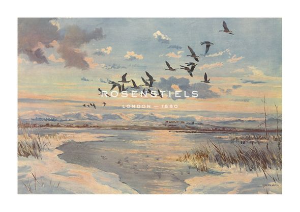 Hugh Monahan Hand Numbered Limited Edition Print on Paper :"Greylag On The Loch"